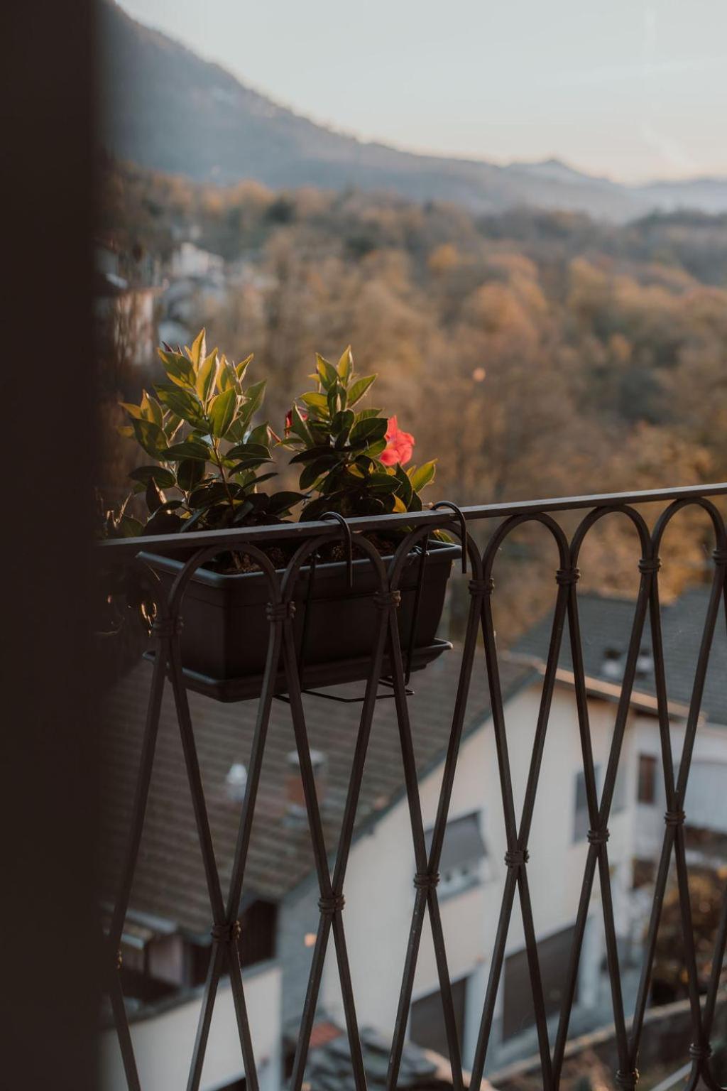 Guesthouse Giulietta E Romeo Cossogno Luaran gambar